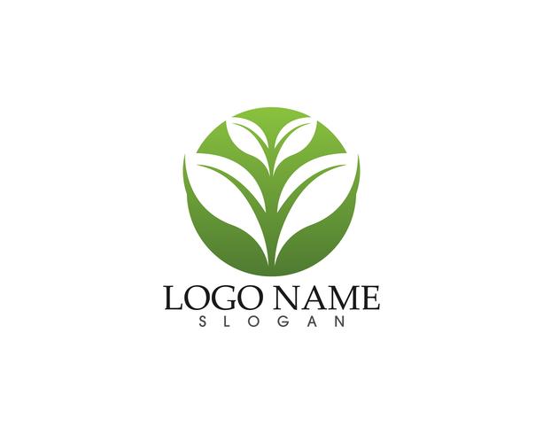 Modèle de logo et symbole icône vecteur écologie