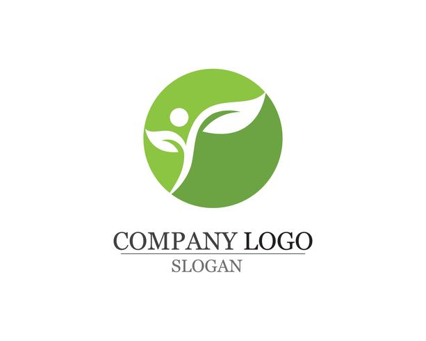 modèle de logo et symbole nature feuille verte app vecteur