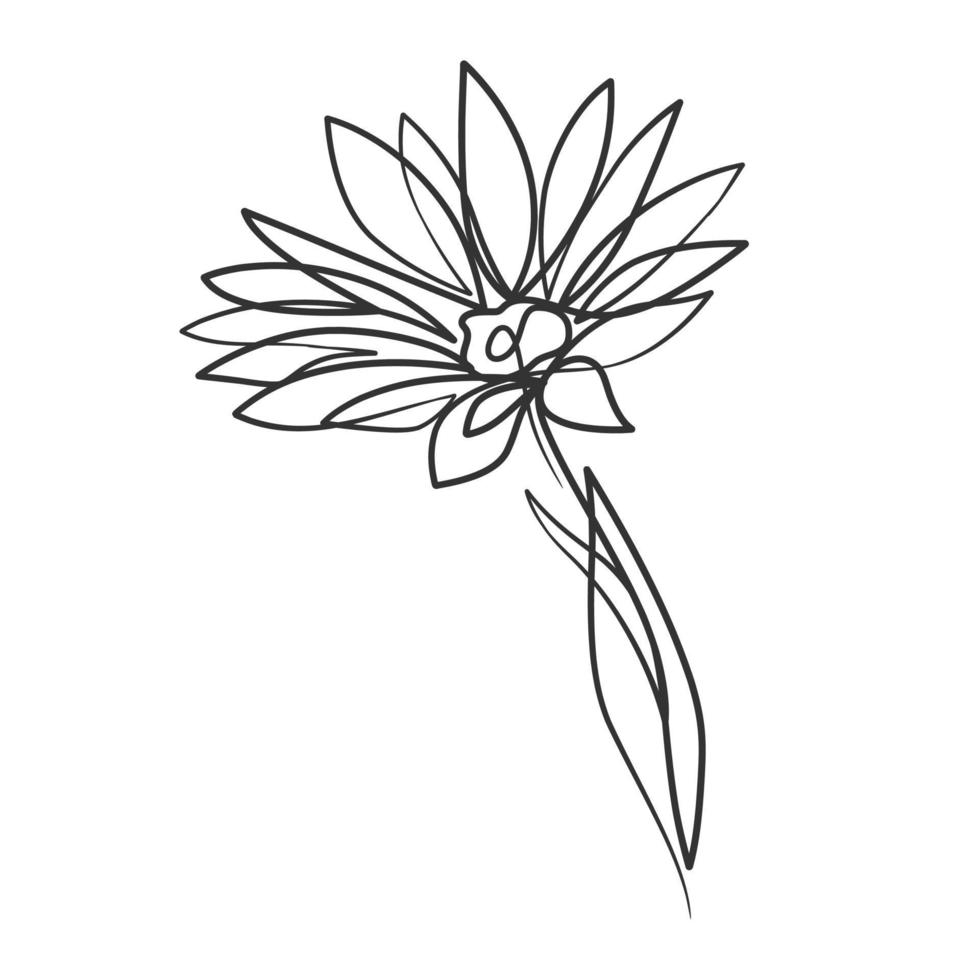 dessin au trait continu d'illustration de fleur simple vecteur