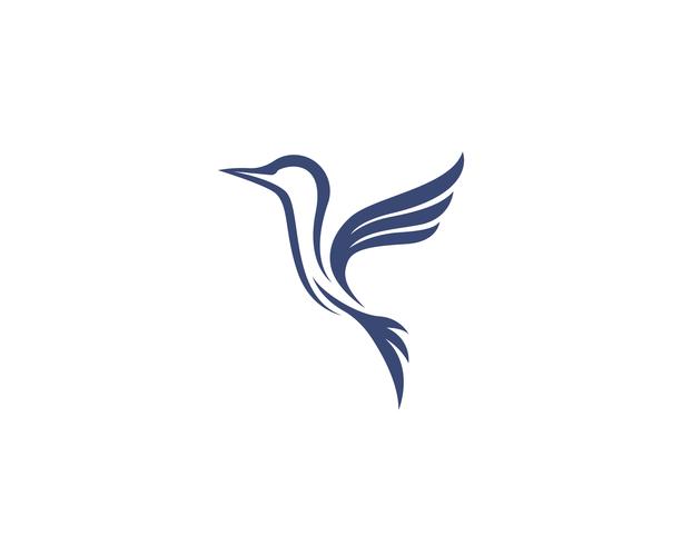 Colibri icône logo et symboles template vecteur