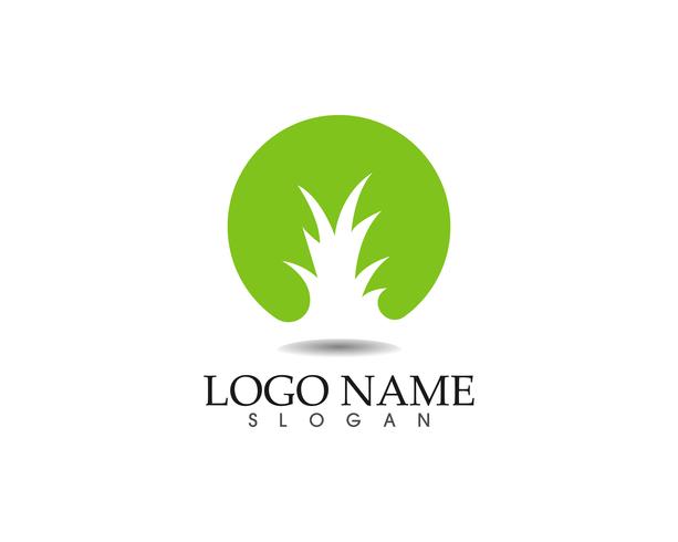 modèle de logo et symbole nature feuille verte vecteur