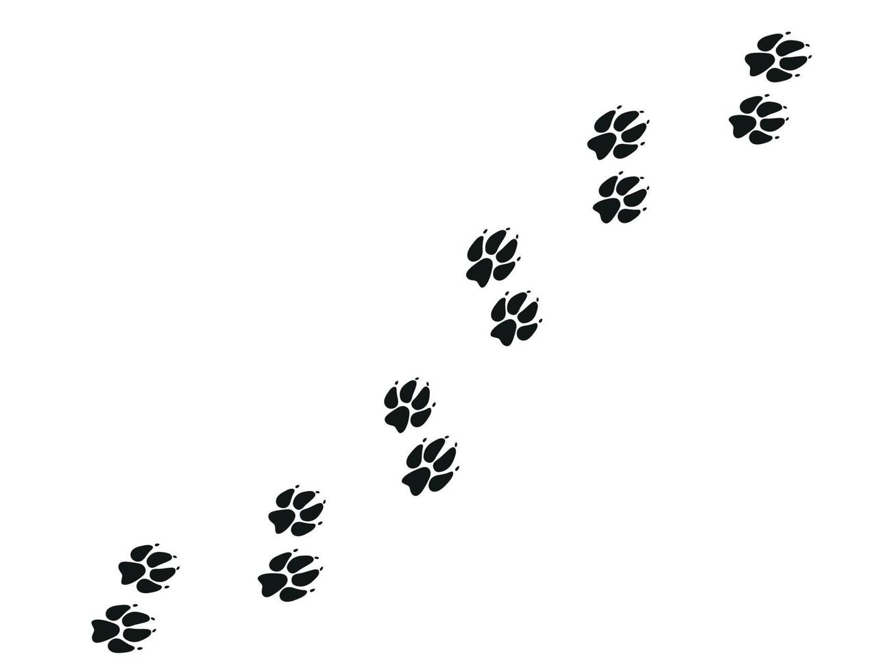 traces de pattes de renard. pattes et silhouettes d'animaux. illustration vectorielle vecteur