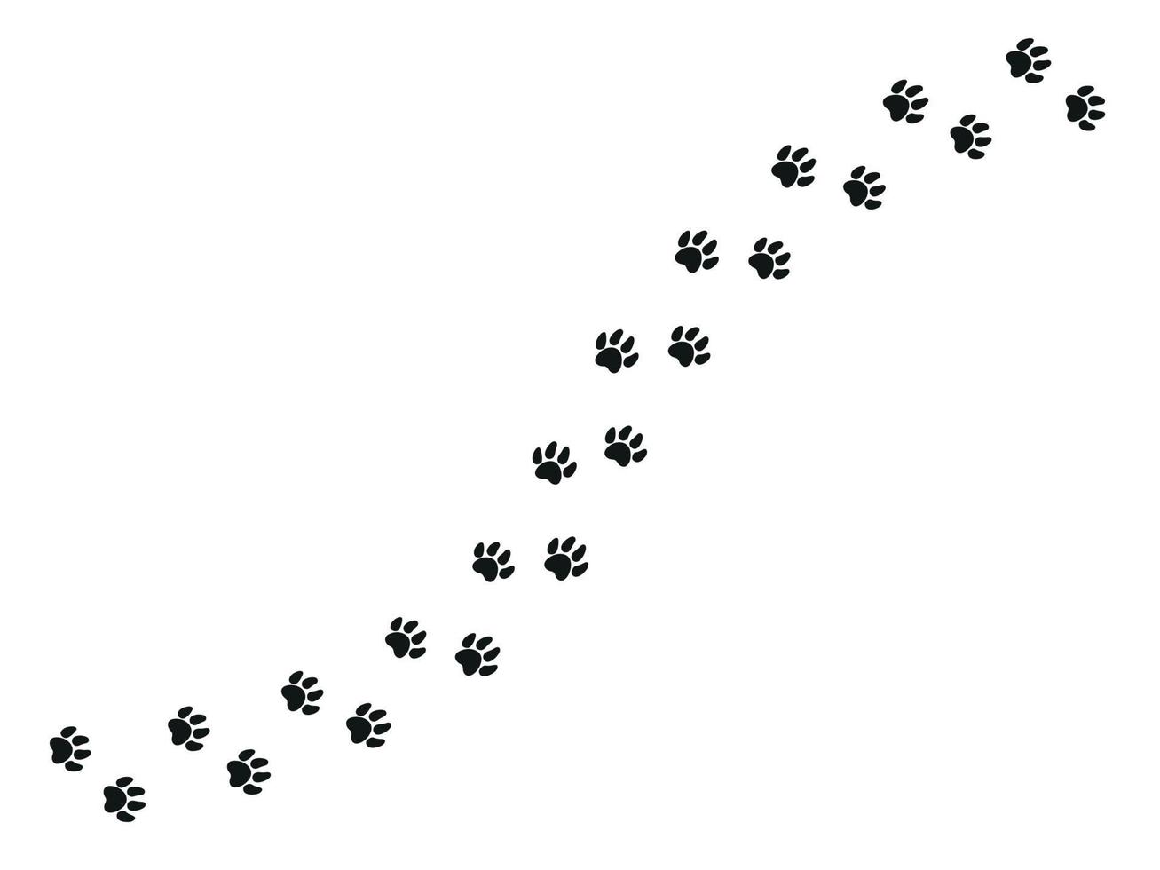 traces de pattes de chat. pattes et silhouettes d'animaux. illustration vectorielle vecteur