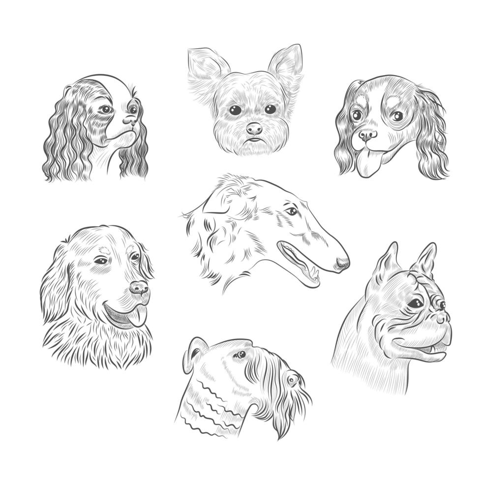 portraits de race de chien croquis dessinés à la main. vecteur