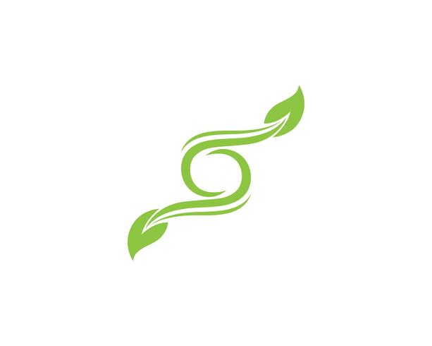 modèle de logo et symbole nature feuille verte vecteur