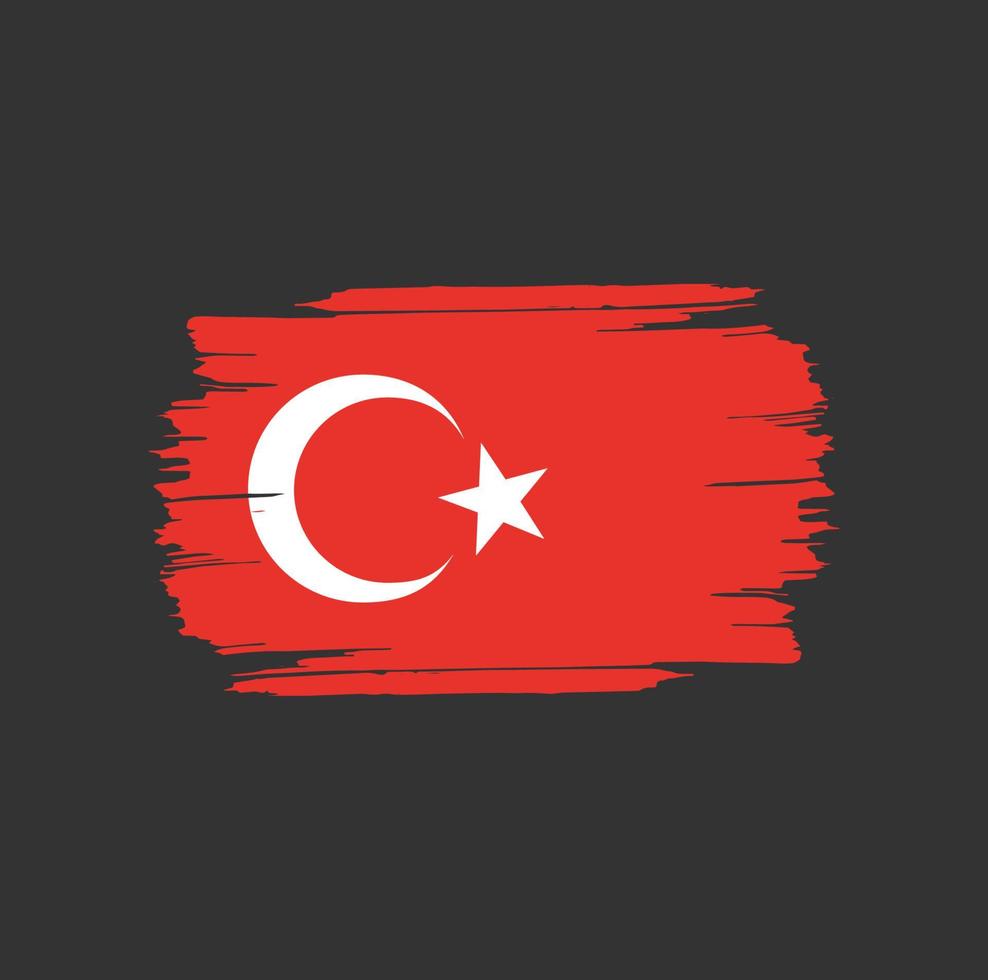 coups de pinceau du drapeau de la turquie. drapeau national du pays vecteur