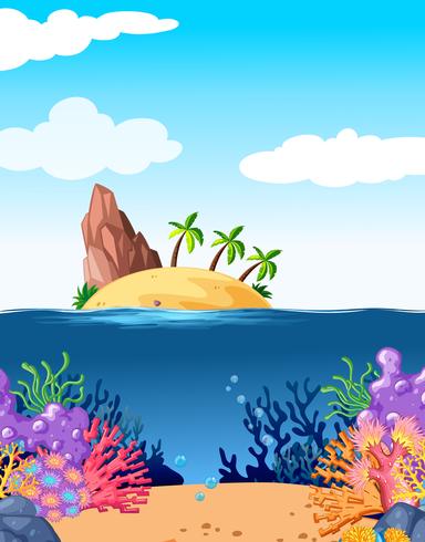 Scène avec île et corail sous l&#39;eau vecteur