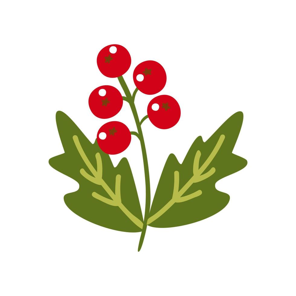 baies de noël d'hiver rouge houx sur une branche. clipart vectoriel, illustration isolée sur fond blanc. pour une carte de vacances, une bannière, un design ou un décor vecteur