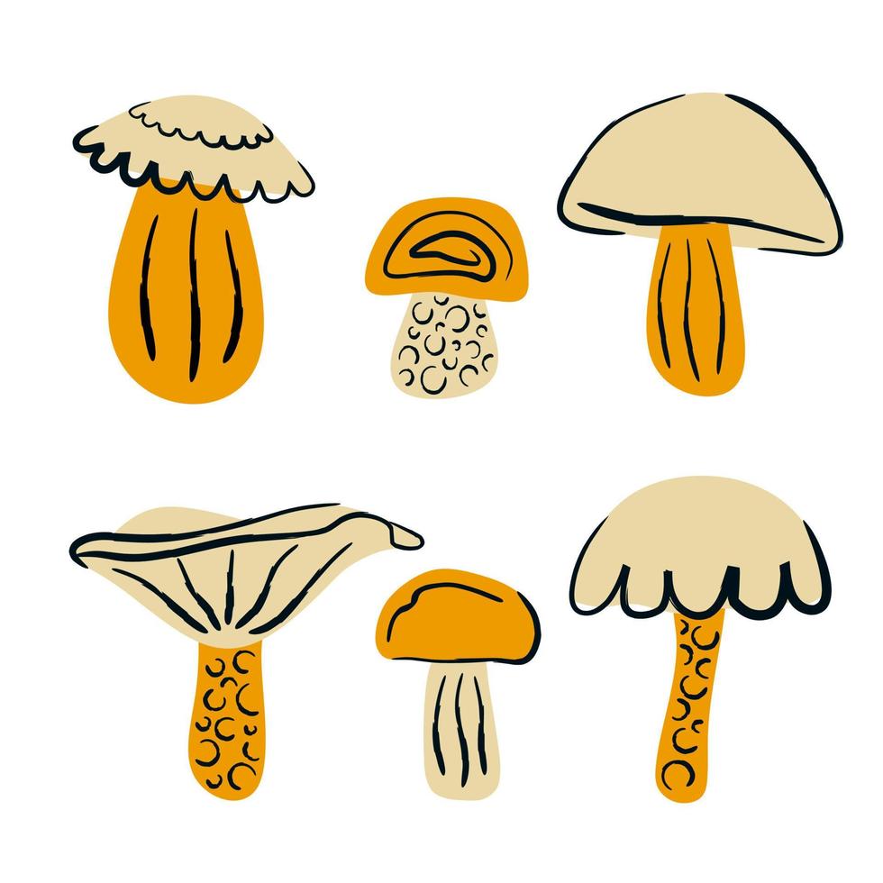 ensemble de champignons d'automne de dessin animé vecteur