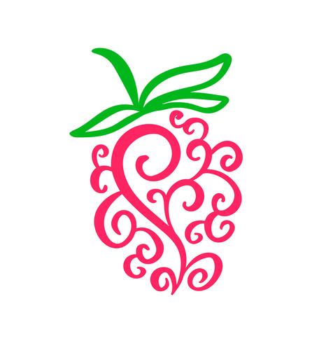 Contour de framboise de vecteur dessinés à la main icône doodle fruit