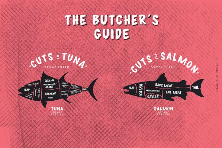 Le guide du boucher, coupe de poisson vecteur