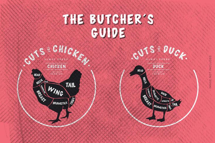 Le guide du boucher, coupe de poulet et de canard vecteur