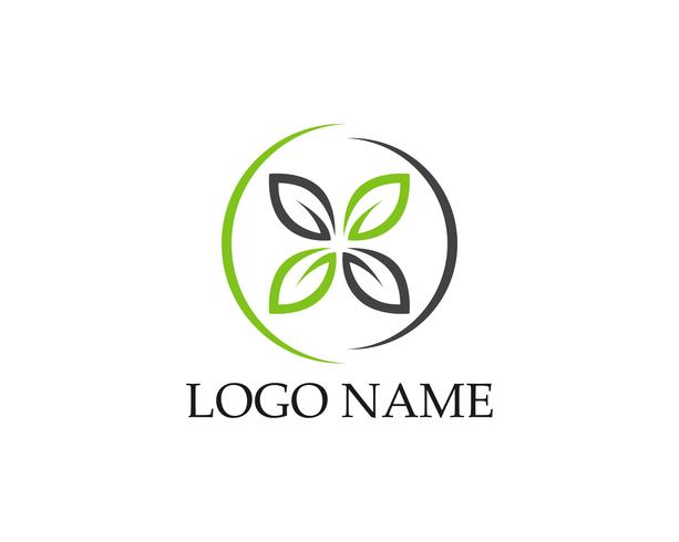 Logos d&#39;icône de vecteur feuille verte écologie nature élément