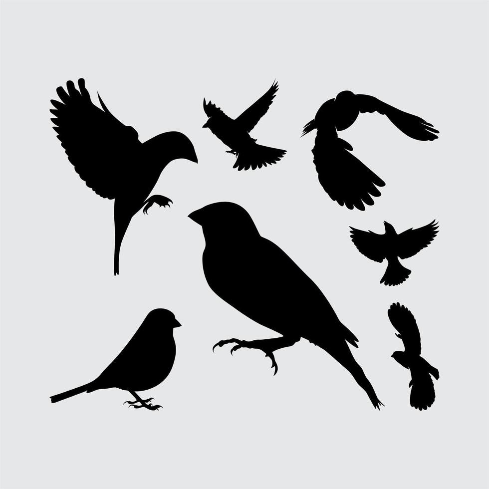 moineau oiseau aigle albatros silhouette ensemble logo icône vecteur conception inspiration