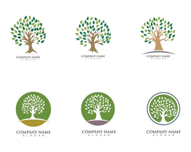 Modèle de logo vectoriel arbre vert personnes identité carte