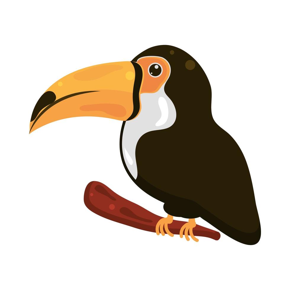 oiseau toucan exotique vecteur