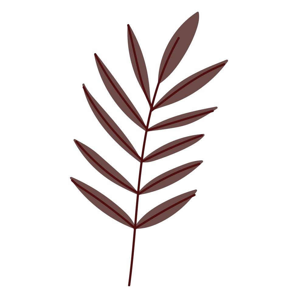 icône de feuilles de branche vecteur
