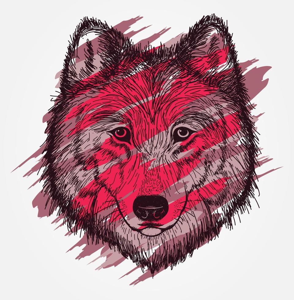 tête de loup vector illustration dessinée à la main