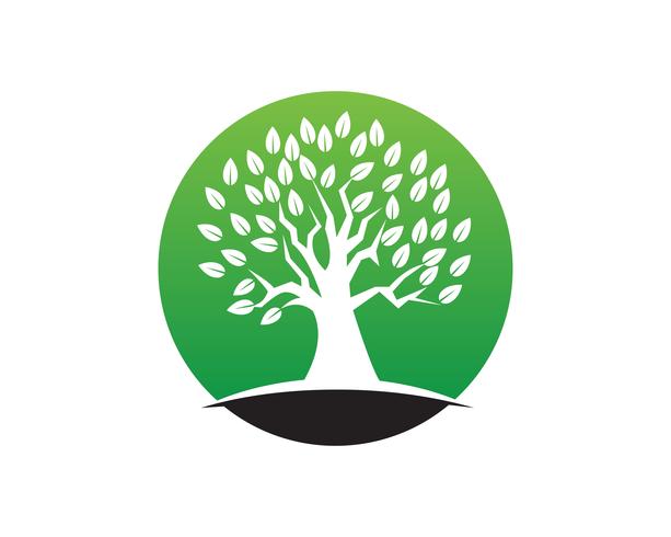 Modèle de logo vectoriel arbre vert personnes identité carte