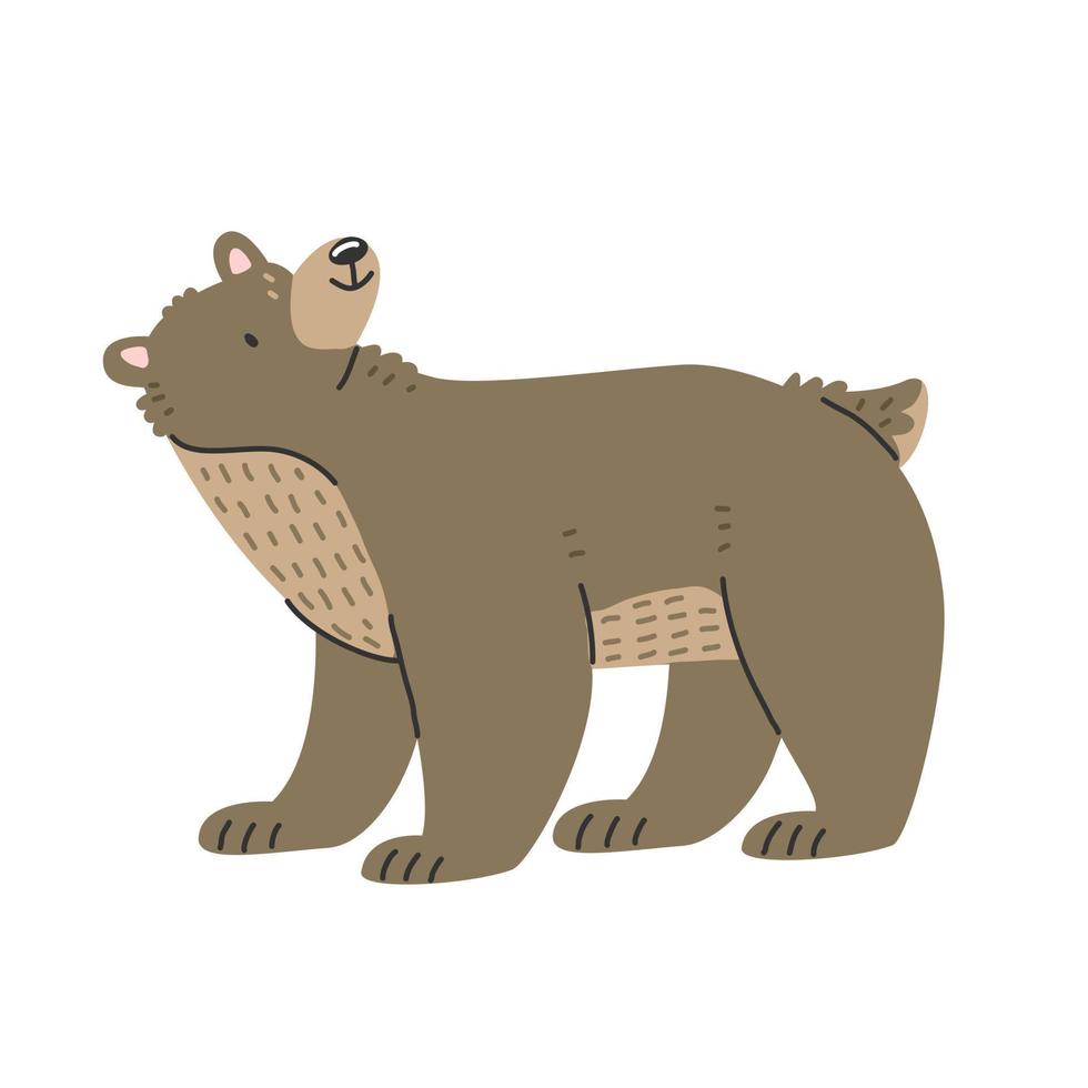 mignon ours brun en style cartoon se dresse et lève les yeux. illustration vectorielle isolée avec un animal. vecteur