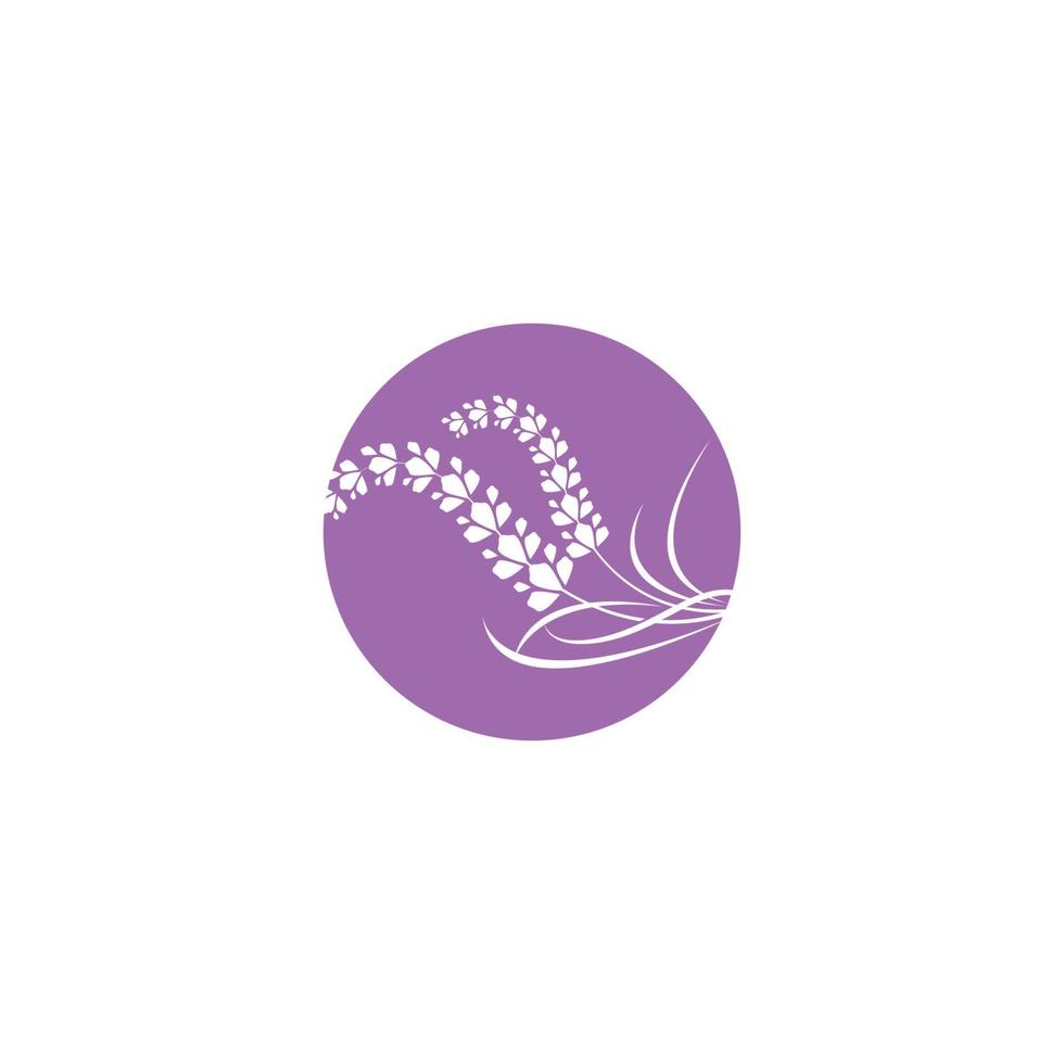 conception plate de vecteur de logo de fleur de lavande fraîche