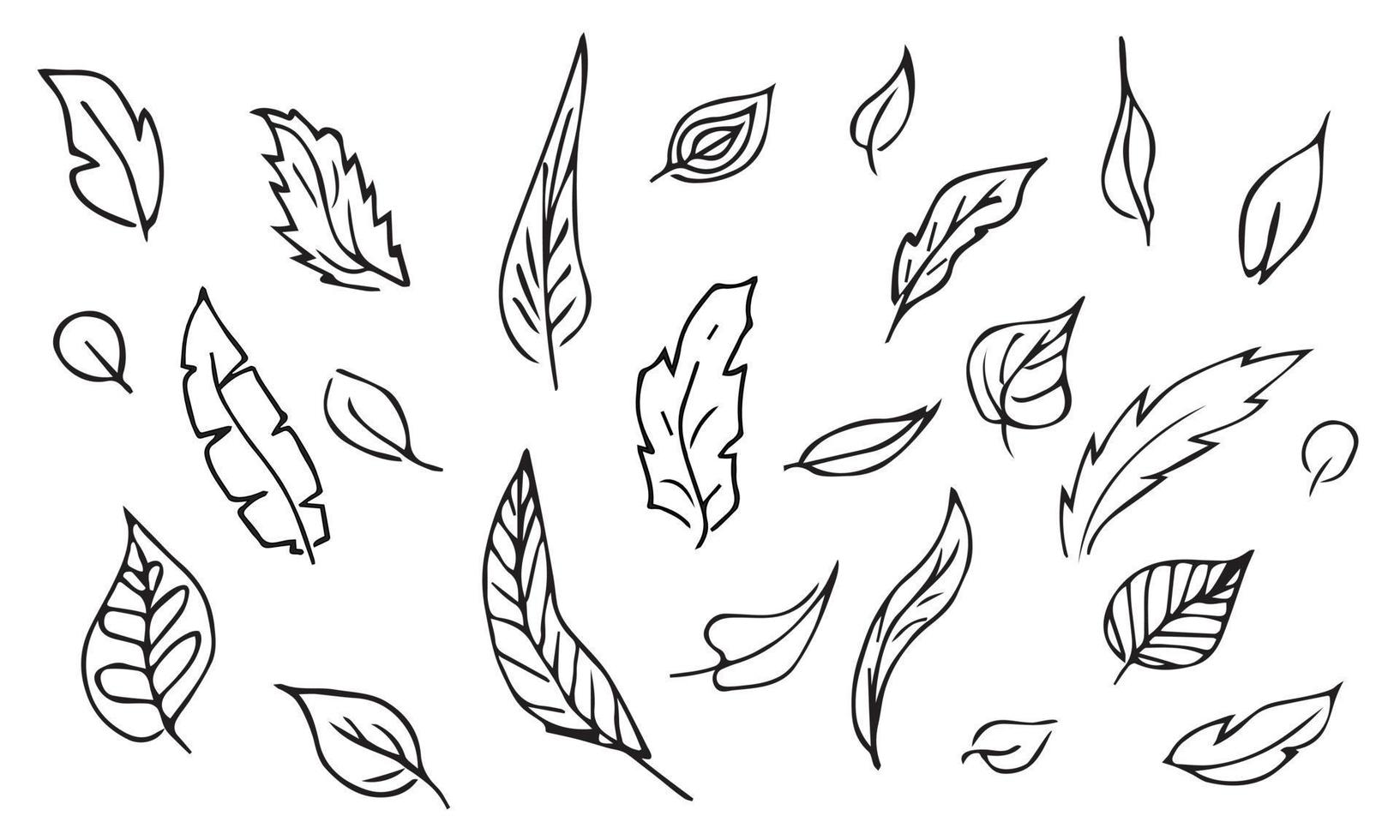 ensemble vectoriel dessiné à la main de branches d'arbres et d'herbes. griffonnages noirs isolés sur fond blanc. illustration botanique pour l'impression, le web, le design, la décoration, le logo.