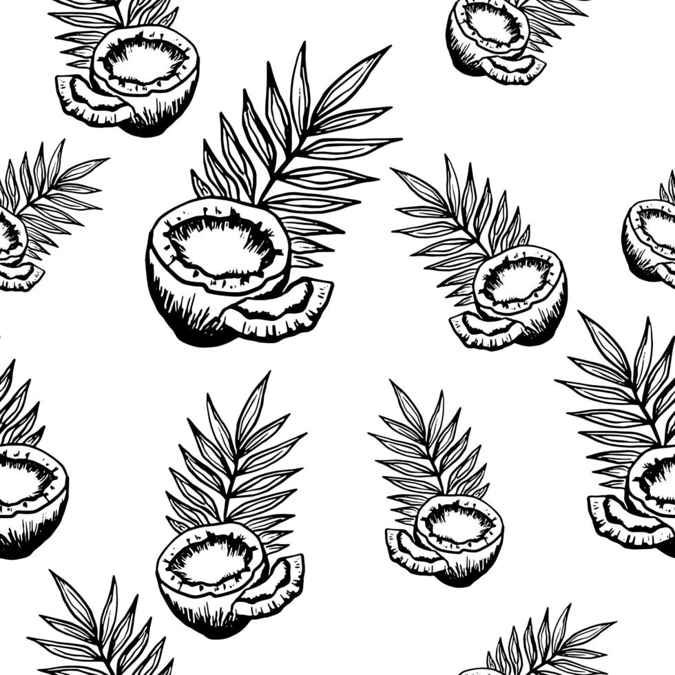 noix de coco fendues et en morceaux, feuilles tropicales. motif de fruits sans soudure de vecteur avec des contours. croquis avec style doodle. conception d'emballages de marque, textiles.