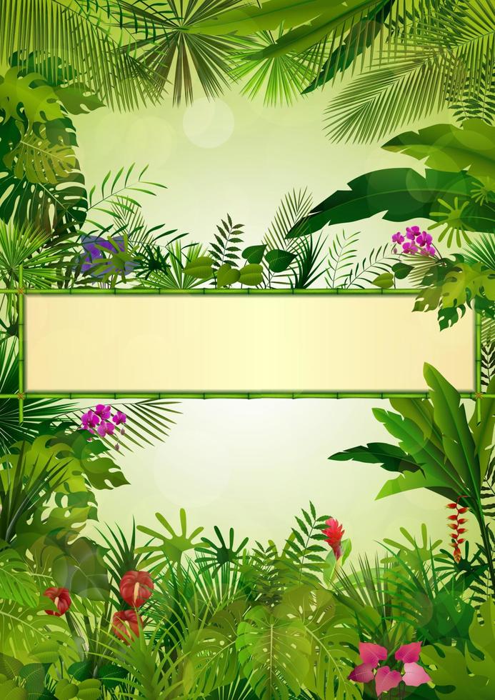 fond tropical avec cadre floral rectangle en bambou concept vecteur