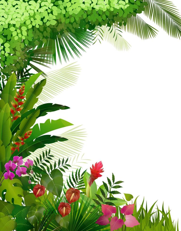 plante tropicale sur background.vector isolé vecteur