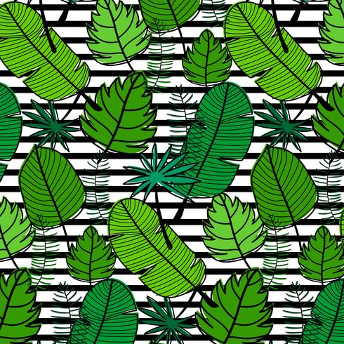 Motif tropical Illustration vectorielle dessinés à la main. vecteur