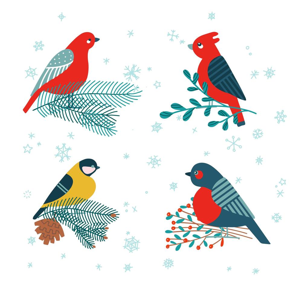 mésange, bouvreuil assis sur une branche de sapin, gui et baies de houx isolés sur fond blanc. ensemble d'illustrations de noël festives de vacances vectorielles dans un style plat de dessin animé. vecteur