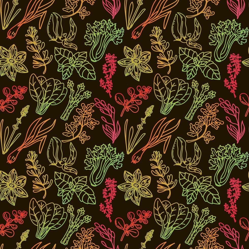 motif d'herbe sans soudure, élément dessiné dans un style doodle. silhouettes aux couleurs arc-en-ciel n herbes et épices - piment, vanille, épine-vinette, romarin, feuille de laurier, etc. motif dans un style linéaire à la mode. vecteur