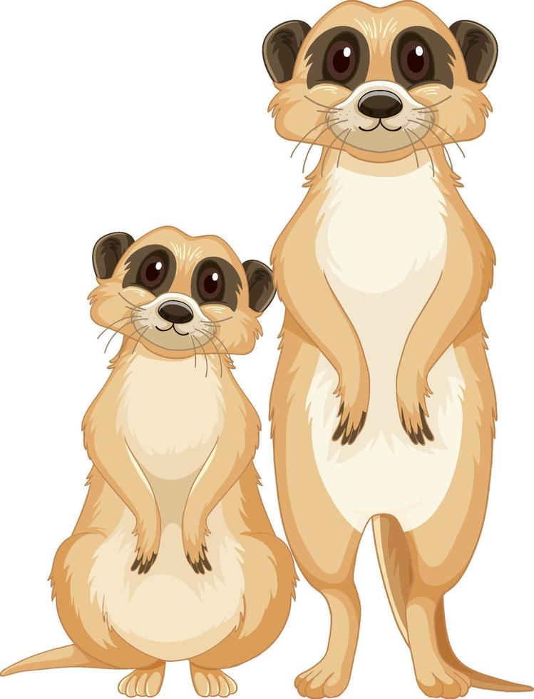 deux mignons suricates en style cartoon vecteur