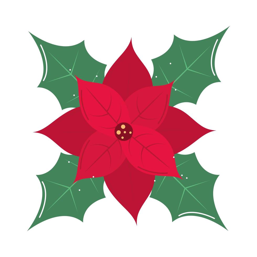 fleur de poinsettia de noël vecteur