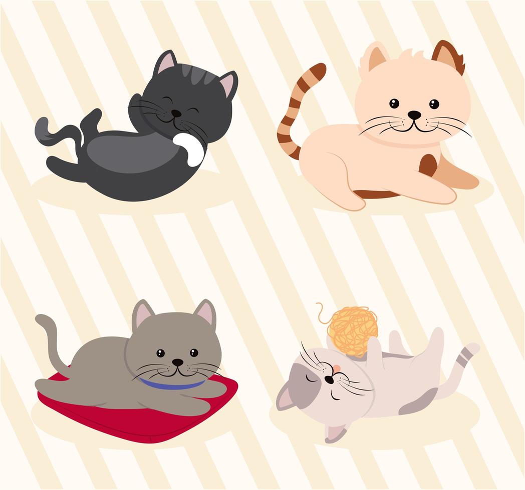 icônes de chats mignons vecteur