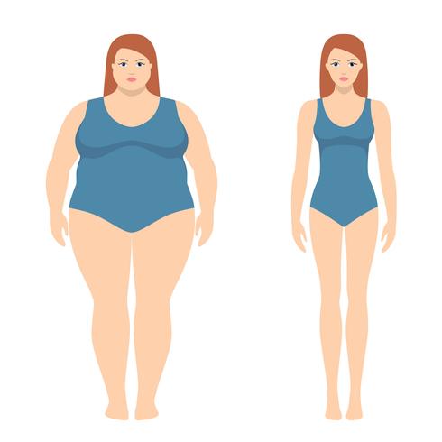 Illustration vectorielle de femme grosse et mince dans un style plat. Concept de perte de poids, avant et après. Corps féminin obèse et normal. vecteur