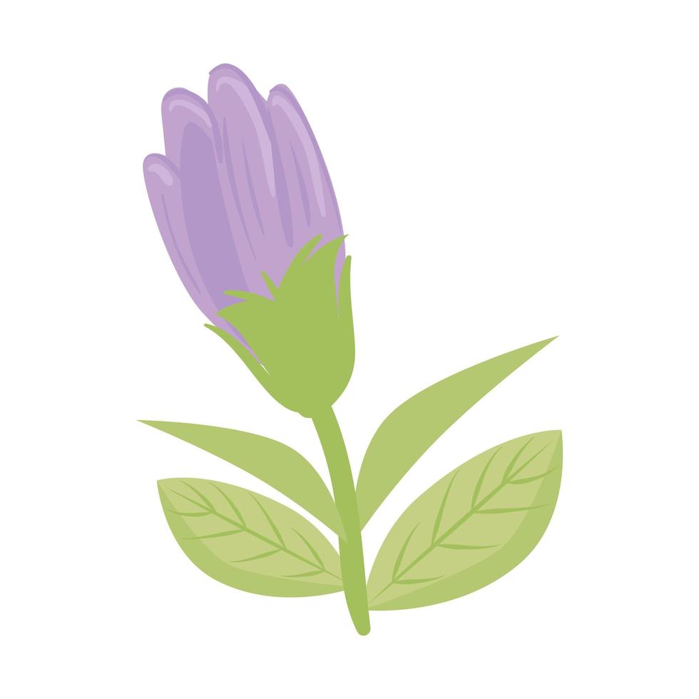 fleur violette avec dessin vectoriel de feuilles