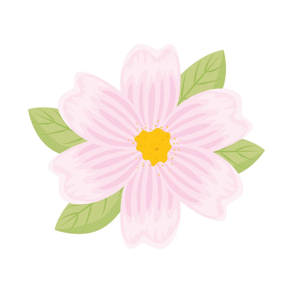 fleur blanche et rose avec dessin vectoriel de feuilles
