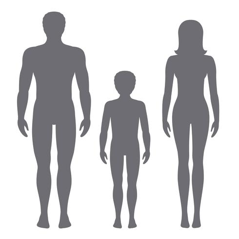 Illustration vectorielle de l&#39;homme, femme et enfant. Les proportions du corps des silhouettes vue de face humaine. vecteur
