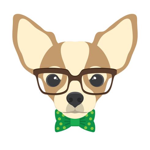 Portrait de chien chihuahua avec des lunettes et noeud papillon dans un style plat. Illustration vectorielle de chien Hipster pour cartes, impression de t-shirt, pancarte. vecteur