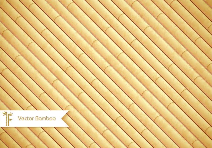 Bamboo Background Vector