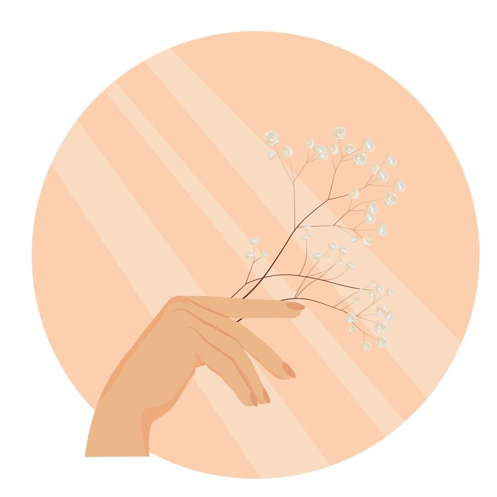 la main d'une femme tient une fleur de gypsophile. illustration de stock de vecteur. logo délicat aux couleurs pastel. isolé sur fond blanc. vecteur