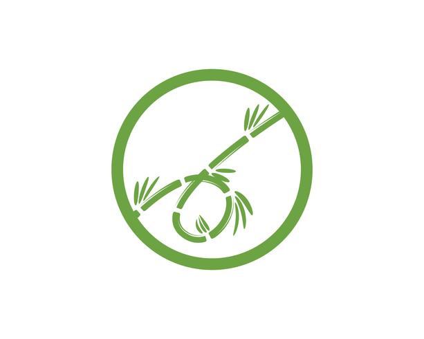 Logo de bambou avec une feuille verte pour votre modèle de vecteur d&#39;icône
