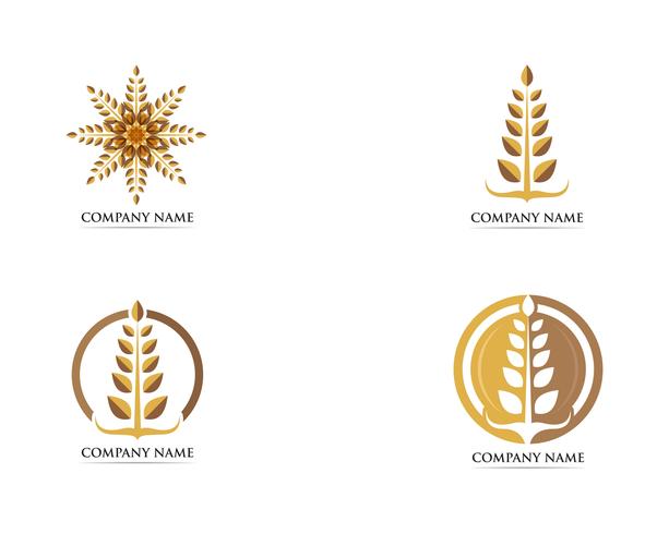 Modèle de vecteur de logo de blé alimentaire