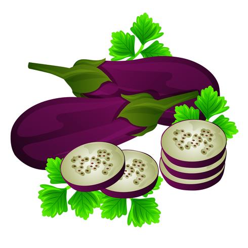 illustration vectorielle aubergine vecteur