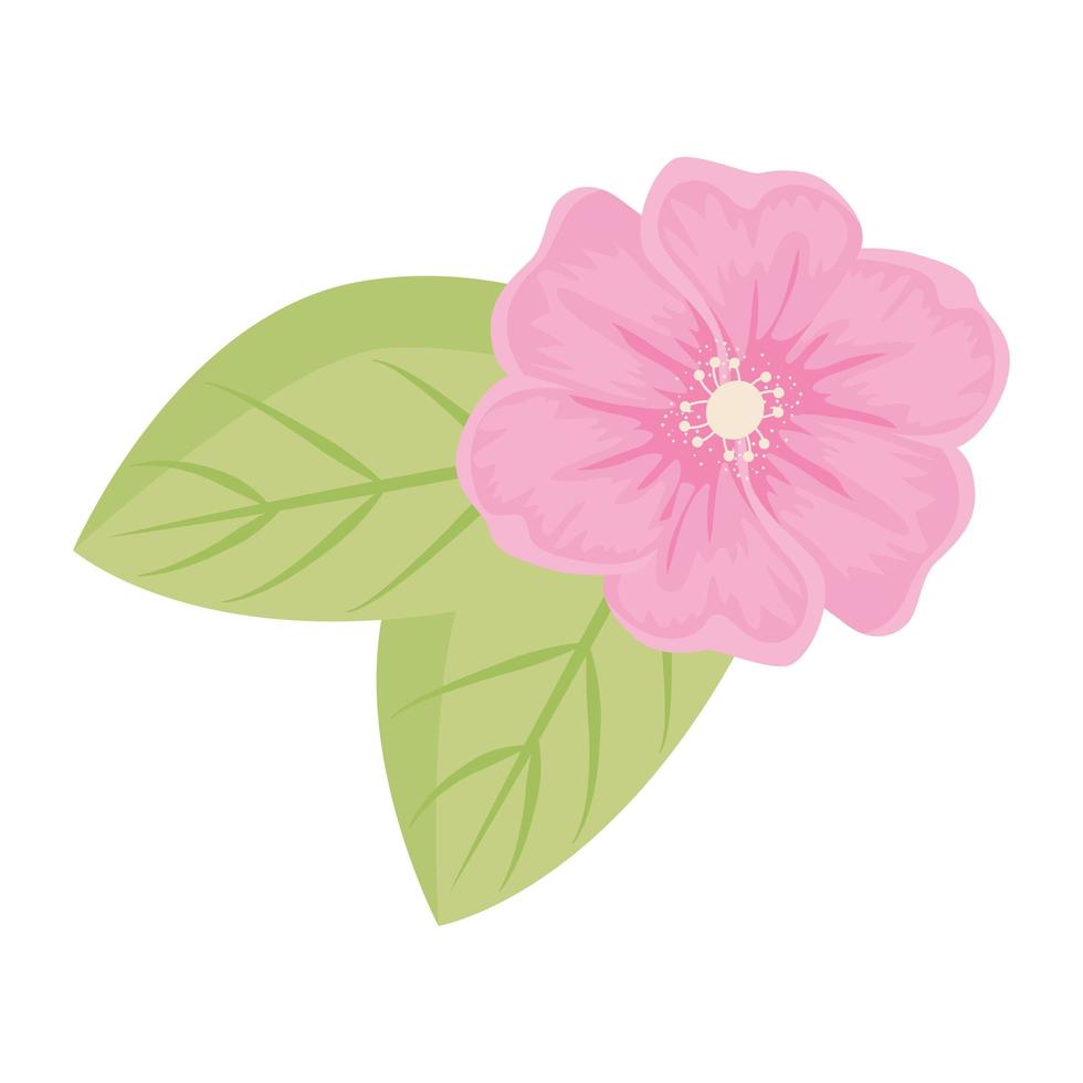 fleur rose avec dessin vectoriel de feuilles