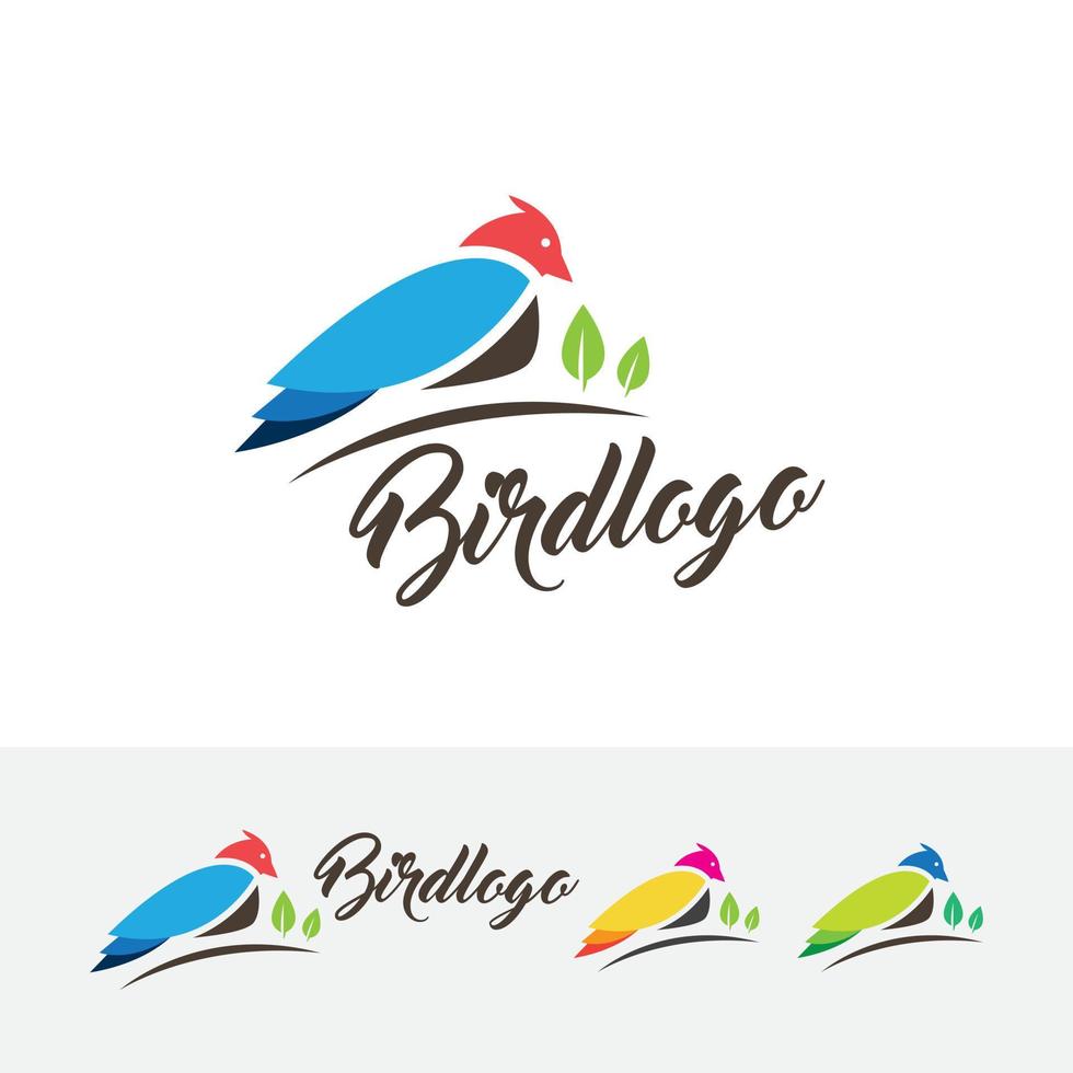 modèle de conception de logo oiseau vecteur