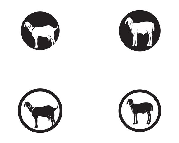 Modèle de logo et symboles vectoriels animaux chèvre noir vecteur