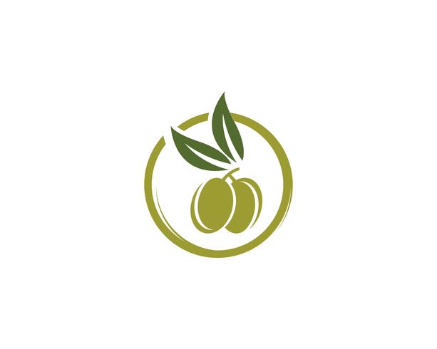 icône de vecteur pour le modèle logo olive