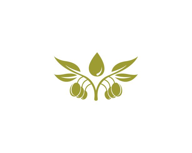 icône de vecteur pour le modèle logo olive